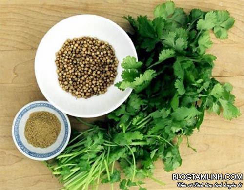 Cách chữa sởi và canh châu cho bé yêu nhà bạn 8 Cách chữa sởi và canh châu cho bé yêu nhà bạn 8