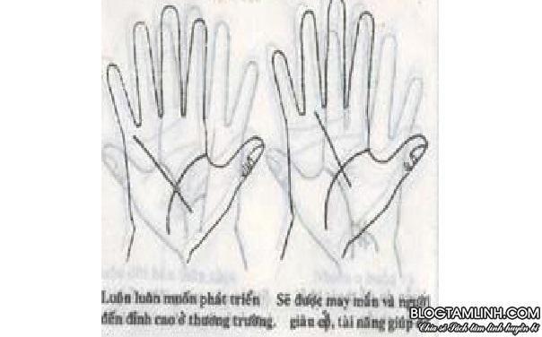 Cách xem chỉ tay
